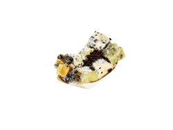 רול סושי פירות 8 יח